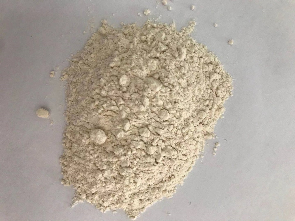 Onion powder